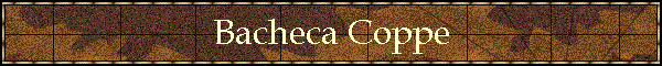 Bacheca Coppe