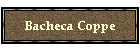 Bacheca Coppe