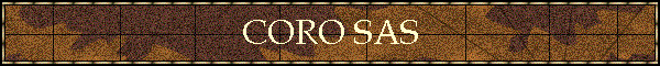 CORO SAS