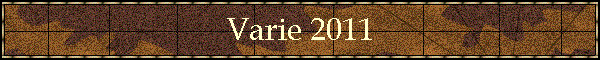 Varie 2011