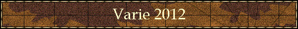 Varie 2012
