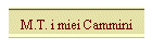 M.T. i miei Cammini