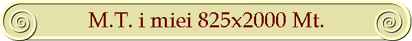 M.T. i miei 825x2000 Mt.