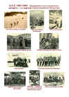2017 Pannello 1951-1955.jpg (419444 byte)